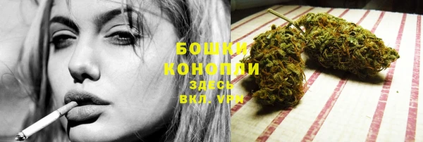 сатива Заволжье