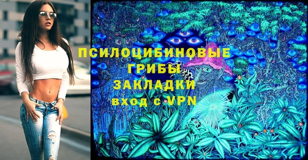 метадон Заводоуковск