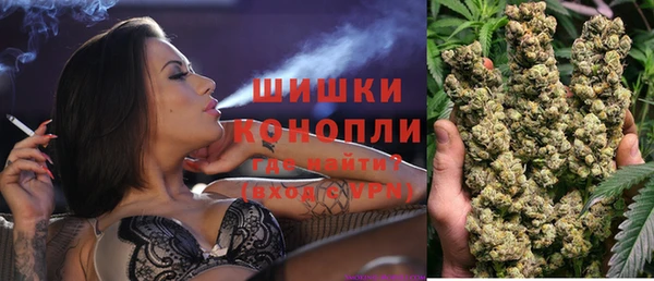 сатива Заволжье