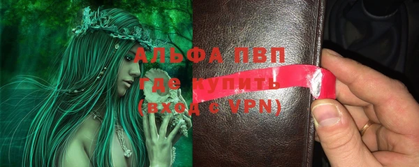 сатива Заволжье